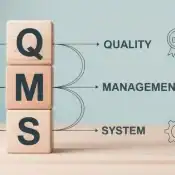 Quality Management System (QMS) Services